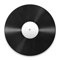 Vinyl record